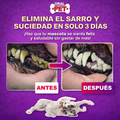 OralPet™ | Elimina el Sarro sin Cepillar