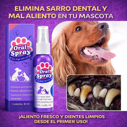 OralPet™ | Elimina el Sarro sin Cepillar